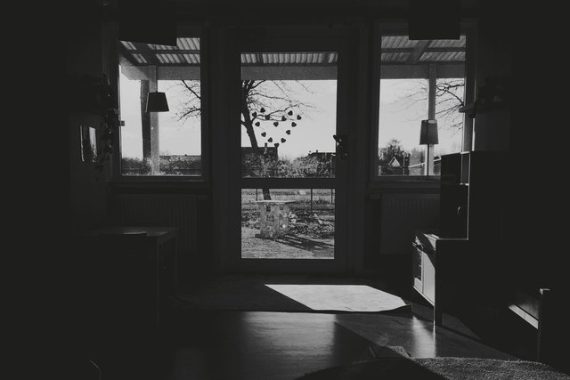 a photograph of a black and white photo of a window with a view of a tree