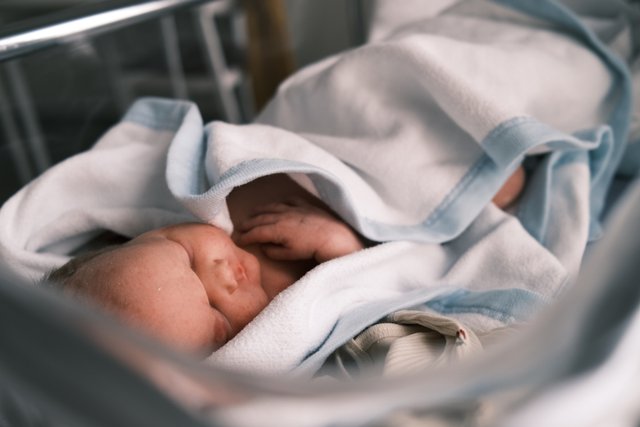 a photograph of a baby is laying in a hospital bed