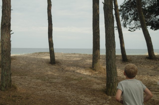 a photograph of a boy is playing frisbee golf in the woods